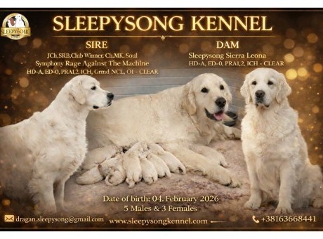 reggie x sierra litter 2026..jpg